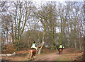 Epping Forest in IG10 2SB