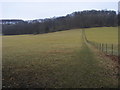 Footpath up to Idlecombe Wood in RG9 6JZ