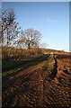 Farm track near Nether Hayston in DD8 1TP