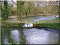 The River Piddle, Affpuddle in DT2 7HH