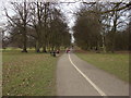 Tree lined avenue, Cassiobury Park in WD18 7LB