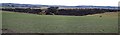 Coombe Hole panorama in LU7 9DJ
