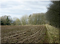2009 : Ploughed field east of Bowden Hill in SN15 2QG