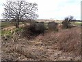 Old railway cutting at Barrasford in NE48 4AA