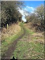 Footpath up Marley Banks in TS29 6NX