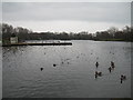 Stanley Park Boating Lake in FY3 9LW