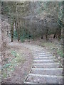 Steps on the Coed Wylfa permissive path in LL67 0DH