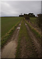 Footpath near Middleton on the Wolds in YO25 9TR
