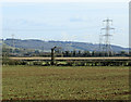 2009 : Pylons proliferate south west of Chippenham in SN14 0RW