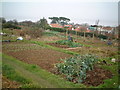 Beach Hill Allotments in BS20 7HT