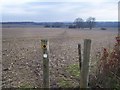 Footpath crosses field to Trottiscliffe in ME19 5DP