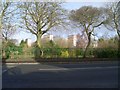 Looking across Auldhouse Park to Shawbridge Flats in G43 2UB