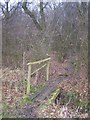 Footbridge into Hall Wood in TN15 7LH