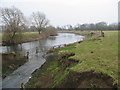 River Derwent at Ambaston in DE72 3NS