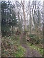 Steps on footpath in Nine Horse Wood in DA3 8QJ