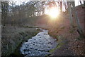 View of Denton Burn looking upstream in DD8 2SQ