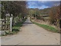 Bridleway to Athelhampton in DT2 8SP