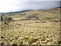 Rough grazing above Bogenchapel in AB31 4LA
