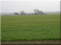 Lower Debden Farm in Godmanchester & Hemingford Abbots Ward