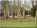 Snowdrops and Aconites, Oxburgh Hall gardens in PE33 9PS