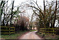 Bendford Bridge Partway Lane in BA22 9DD