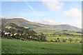 Grazing Land at Hazlehurst Farm in Bleasdale