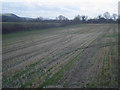 Arable land near The Novel in HR6 9TW