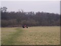 Dogwalkers on footpath to Lion Wood in DA13 0QN