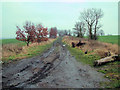 Muddy Track in WF9 3FJ