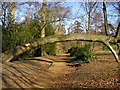 Tree arch at Lily Hill Park in RG12 2QB