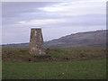 Trig point on Weston Hill in SY8 2EL