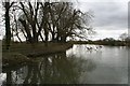 The Thames at Littlestoke in OX10 6BU