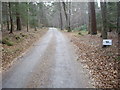 Driveway from Woodend House in AB31 4AY