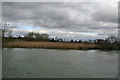 Marsh over the river in OX10 9LU
