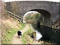 Bridge 5, Wendover Arm, Drayton Beauchamp, looking East in HP23 4LB