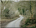 2009 : Quiet lane near Pitter's Farm in SN15 2QG