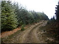 Track westwards up Hill of Trustach in AB31 4AR
