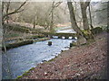 River Bradford in late winter in DE45 1LS