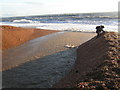 River mouth, Seatown in DT6 6JU