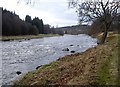 River Dee in front of Woodend House in AB31 4AY