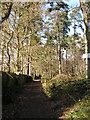 Footpath by woodland in RG45 6TQ