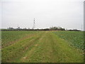 Field track looking north in MK18 4DA