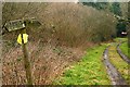 Footpath this way in RG19 8BR