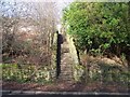 Roscoe Bank Steps, Rivelin Valley, Sheffield in S6 5SB