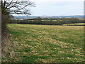 Pasture, east of Tockenham, north of Bushton in SN4 7PS