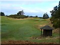 Shelter by the fairway in Strathallan Ward