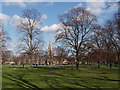 Turnham Green with leafless trees in winter in W4 1JS