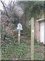 Footpath up Stockham's Hill in EX12 3AW
