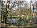A shallow pond in NR10 3HU