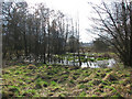 Wet ground beside footpath in NR10 3HU